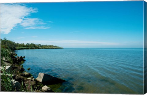 Framed View of a lake, Etang de Vaccares, Camargue, Bouches-Du-Rhone, Provence-Alpes-Cote d&#39;Azur, France Print