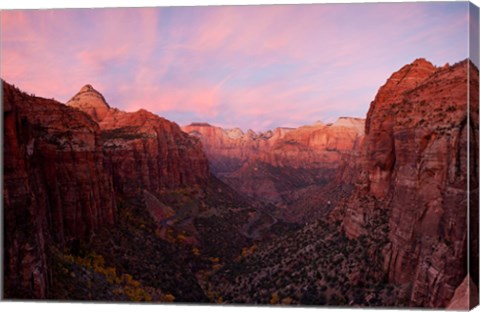 Framed Zion Canyon at sunset, Zion National Park, Springdale, Utah, USA Print