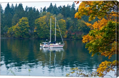 Framed Sailboats in a lake, Washington State, USA Print