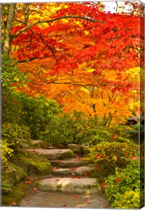 Framed Stone steps in a forest in autumn, Washington State, USA Print