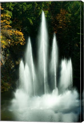 Framed Waterfall in a garden, Butchart Gardens, Victoria, Vancouver Island, British Columbia, Canada Print