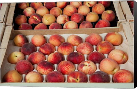 Framed Peaches at a market stall, Lourmarin, Vaucluse, Provence-Alpes-Cote d&#39;Azur, France Print