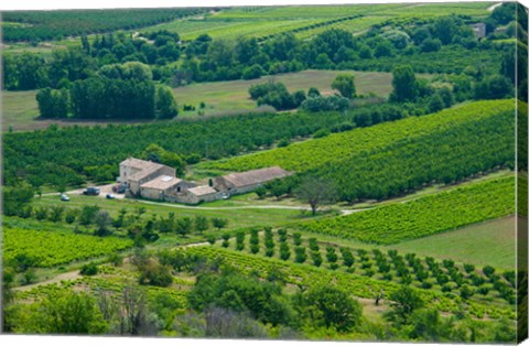 Framed Farmhouse in a field, Lacoste, Vaucluse, Provence-Alpes-Cote d&#39;Azur, France Print