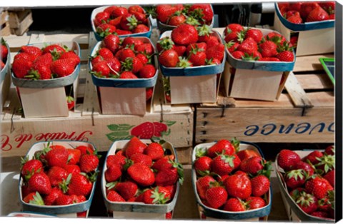 Framed Strawberries for sale at weekly market, Arles, Bouches-Du-Rhone, Provence-Alpes-Cote d&#39;Azur, France Print