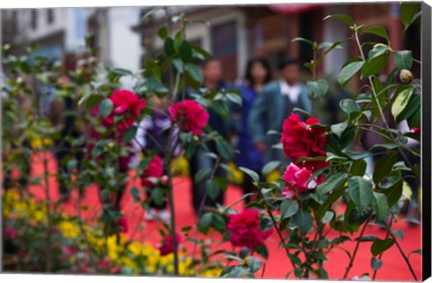 Framed People at spring flower festival, Old Town, Dali, Yunnan Province, China Print