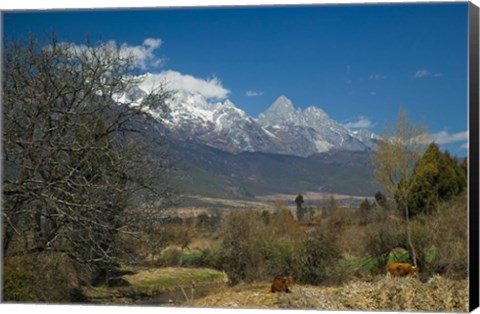 Framed Jade Dragon Snow Mountain viewed from Baisha, Lijiang, Yunnan Province, China Print