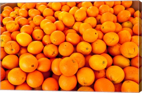 Framed Close-up of oranges, Santa Paula, Ventura County, California, USA Print