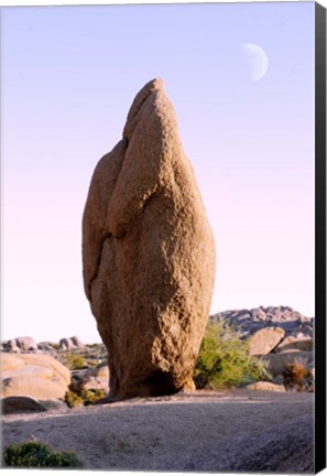 Framed Rock formations at Joshua Tree National Park, California, USA Print