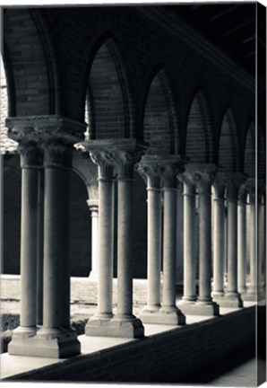 Framed Cloister of a church, Cloitre des Jacobins, Eglise des Jacobins, Toulouse, Haute-Garonne, Midi-Pyrenees, France Print