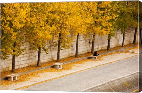 Framed Riverfront, Ile de la Cite, Paris, Ile-de-France, France Print