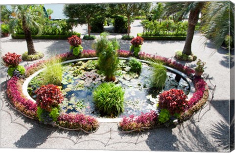 Framed Lily pads in a pond, Isola Madre, Stresa, Lake Maggiore, Italy Print