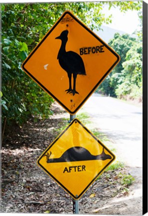 Framed Warning sign at the roadside, Cape Tribulation, Queensland, Australia Print