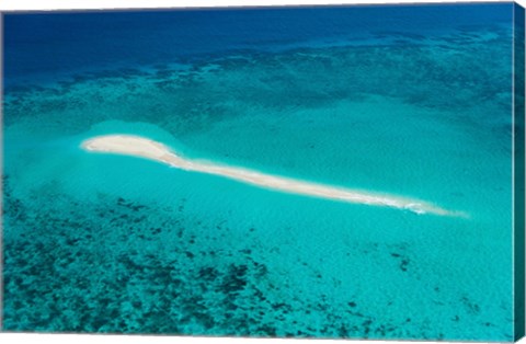 Framed Aerial view of Coral Reef, Great Barrier Reef, Queensland, Australia Print