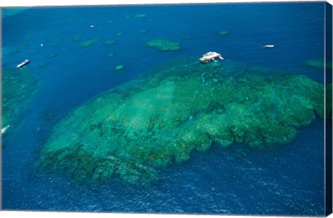 Framed Aerial view of coral reef in the pacific ocean, Great Barrier Reef, Queensland, Australia Print