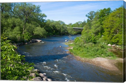 Framed River passing through a forest, Beaver River, Ontario, Canada Print