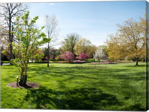 Framed Sherwood Gardens, Baltimore Print