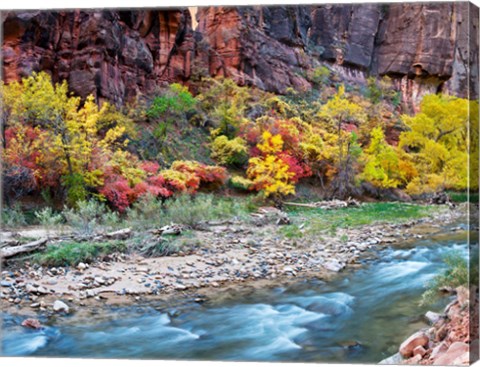 Framed Virgin River and rock face at Big Bend, Zion National Park, Springdale, Utah, USA Print