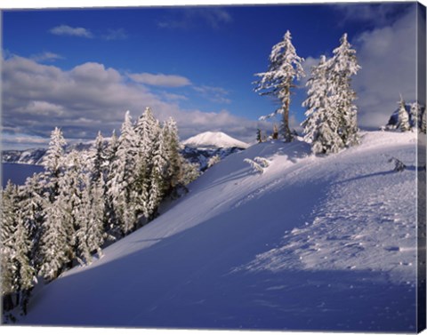 Framed Snow covered trees in winter, Mt. Scott, Crater Lake National Park, Oregon, USA Print