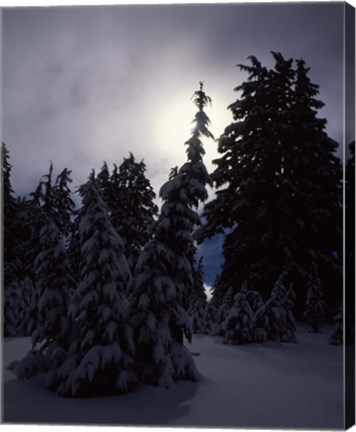 Framed Munson Ridge, Crater Lake National Park, Oregon Print