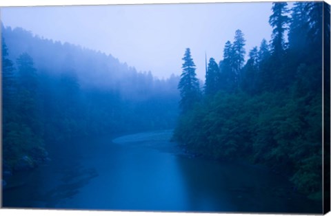 Framed River passing through a forest in the rainy morning, Jedediah Smith Redwoods State Park, Crescent City, California, USA Print