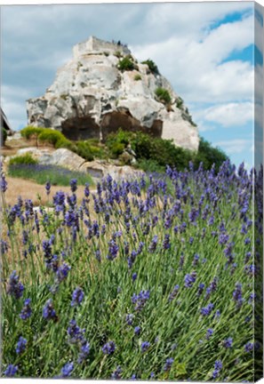 Framed Lavender field in front of ruins of fortress on a rock, Les Baux-de-Provence, Provence-Alpes-Cote d&#39;Azur, France Print