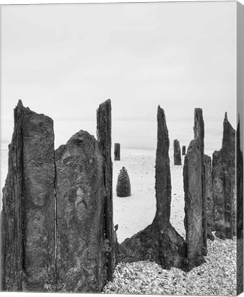 Framed Bay Wraiths Print