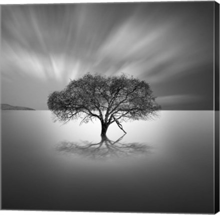 Framed Water VIII Print