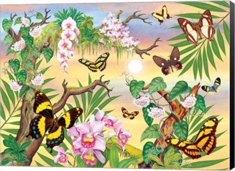 Framed Butterflies Up IN The Canopy Print