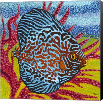 Framed Brilliant Tropical Fish II Print