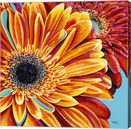 Framed Color Bursts II Print
