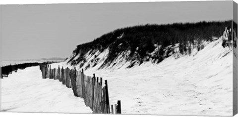 Framed Shore Panorama I Print