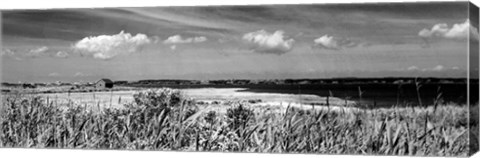 Framed Shore Panorama III Print