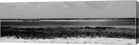 Framed Shore Panorama IV Print