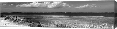 Framed Shore Panorama VII Print