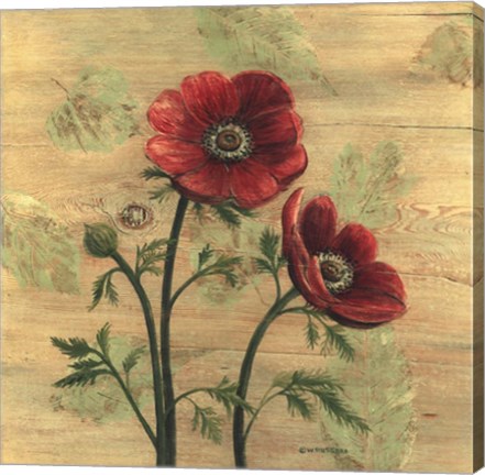 Framed Anemone on Wood Print