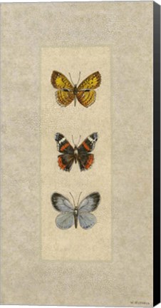 Framed Butterfly Trio II Print