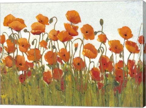 Framed Rows of Poppies II Print