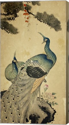 Framed Korean Peacocks Print