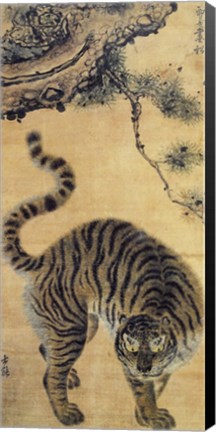 Framed Tiger Under the Pine Tree Print