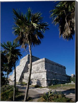 Framed Palm trees near El Castillo Print