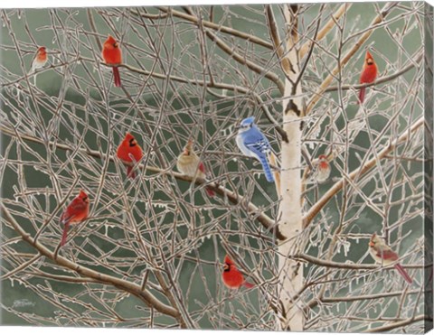 Framed Ornaments Print