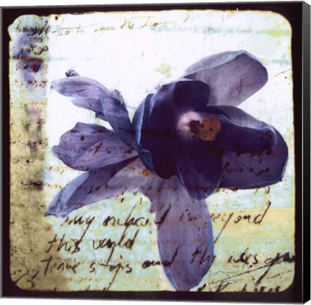 Framed Blooming Purple II Print