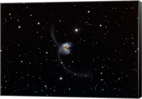 Framed Antennae (NGC 4038 and 4039), interacting pair of galaxies in Corvus Print