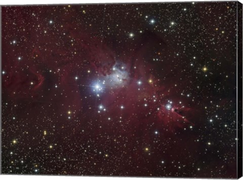 Framed NGC 2264 region showing the Cone Nebula, Christmas Tree Cluster, and Fox Fur Nebula Print