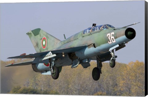 Framed Bulgarian Air Force MiG-21UM jet fighter taking off Print