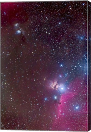 Framed Area around the Belt of Orion, with the Horsehead and Flame Nebula Print