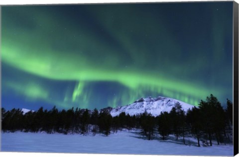 Framed Aurora Borealis over Nova Mountain Wilderness, Norway Print