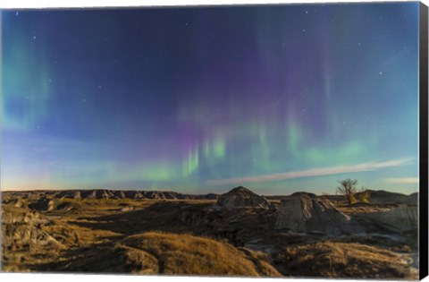 Framed Aurora borealis over the badlands of Dinosaur Provincial Park, Canada Print