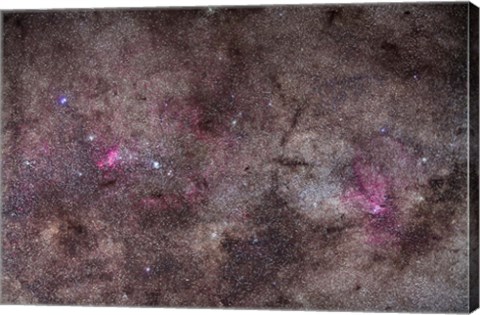 Framed False Comet area in Scorpius along with NGC 6188 nebulosity in Ara Print