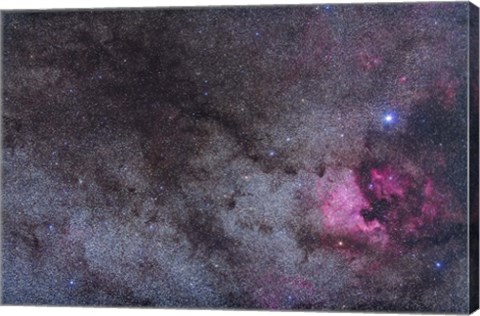 Framed North America Nebula and dark nebulae in Cygnus Print